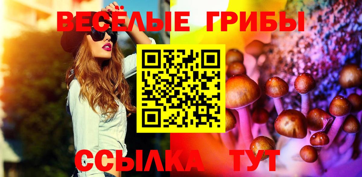 Галлюциногенные грибы Cubensis  Вход с VPN  Полевской 