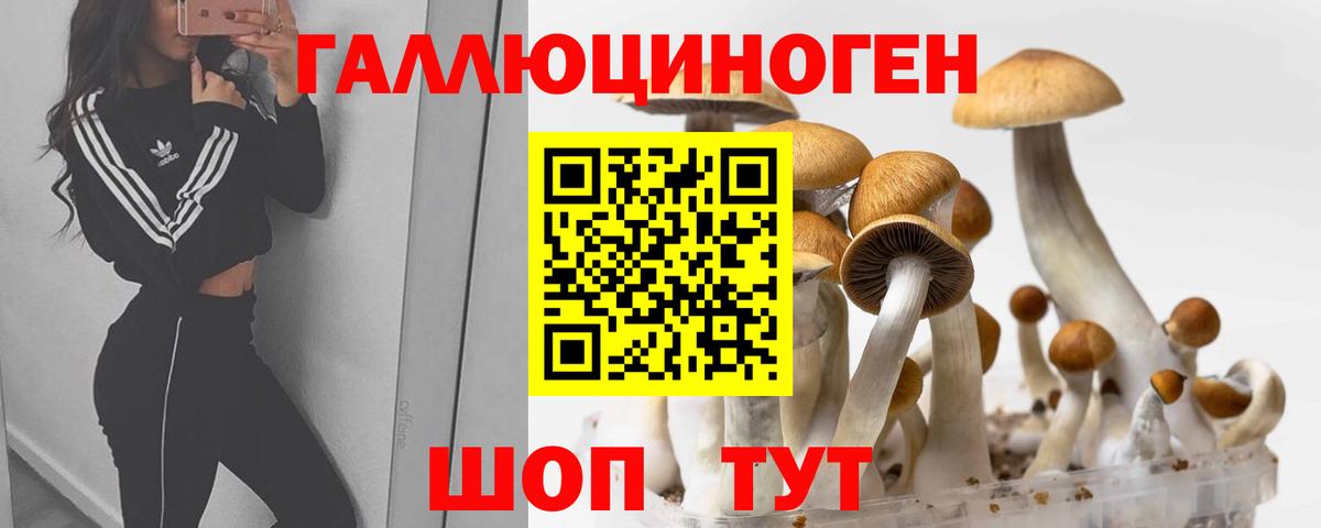 Галлюциногенные грибы Cubensis Полевской